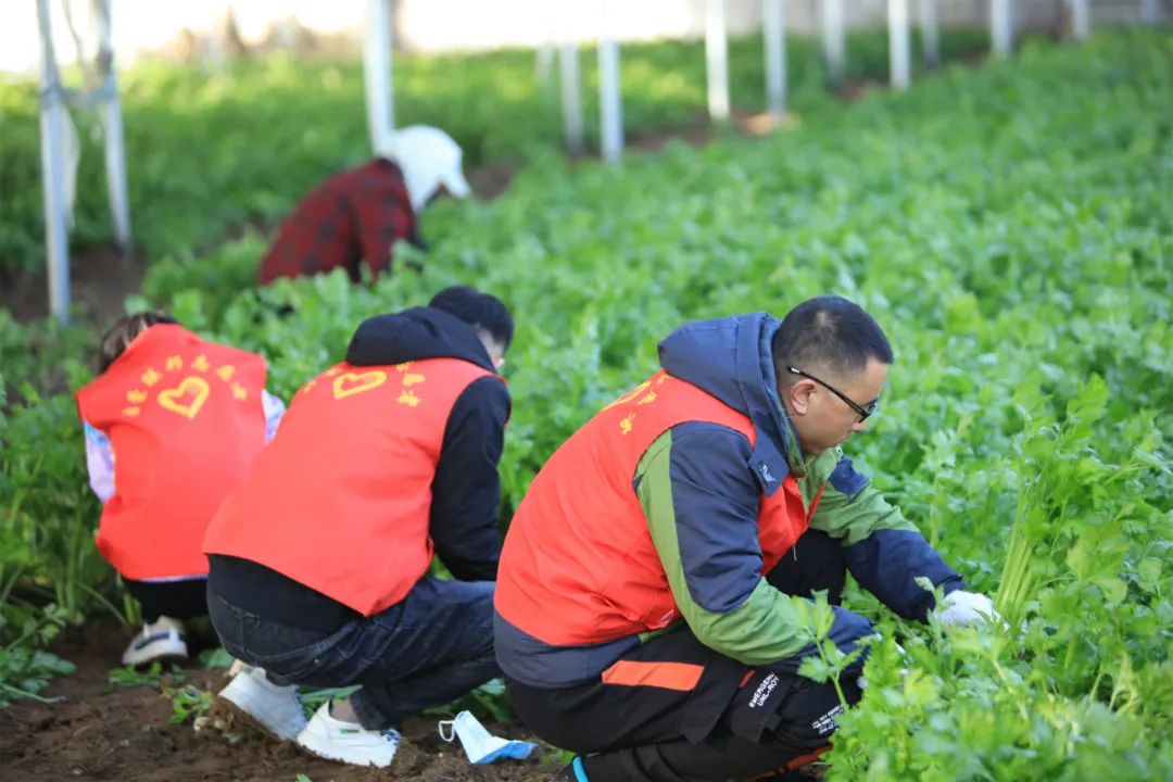 愛心助農，我們在行動！